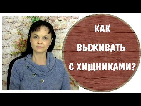 Видео: Как выживать с хищниками