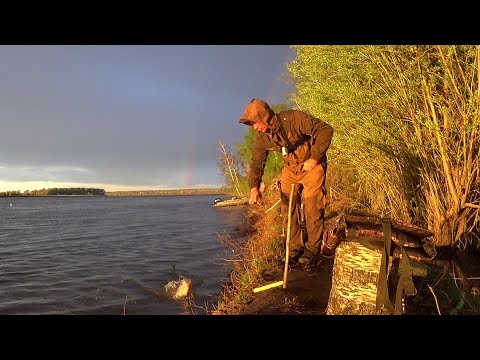 Видео: РУКИ ТРЯСУТСЯ, ЛЕСКА ГУДИТ, РЕЗИНКИ ЛОВЯТ, ОДИН БОЛЬШЕ ДРУГОГО, ВОТ ЭТО РЫБАЛКА