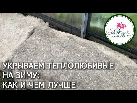 Видео: Чем и как укрывать теплолюбивые на зиму