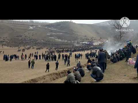 Видео: човандоза бераҳмш 44 000 сомонӣ бузкаши муминобод 9 02 2025