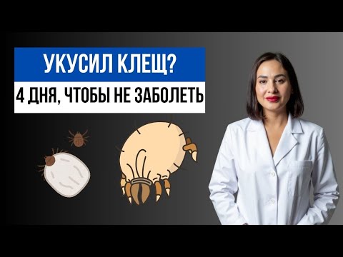 Видео: Что делать если присосался клещ? Опасность, которую можно избежать