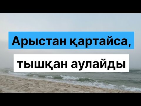 Видео: БӨЛТІРІК ШЕШЕН / АРЫСТАН ҚАРТАЙСА, ТЫШҚАН АУЛАЙДЫ