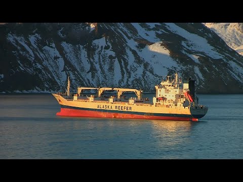 Видео: Шторм . Рефконтейнер "Dunedin Star" в Беринговом море. Начало обледенения.