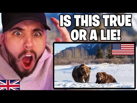 Видео: Британец реагирует на БЕЗУМНЫЕ факты об АМЕРИКЕ, которые кажутся нереальными!