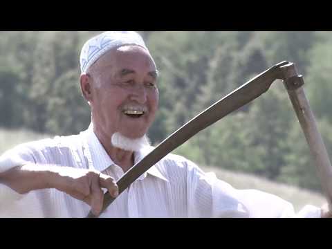 Видео: Вафа Мәүлетов -Бесәнлектә