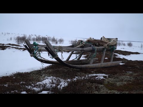 Видео: Саами Кольского полуострова. Они не любят когда их называют лопарями, а их землю — Лапландией