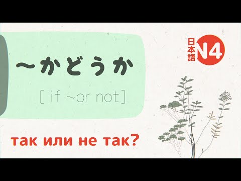 Видео: Грамматика ～かどうか (kadouka) 💬 [разбор и примеры] jlpt N5-N4