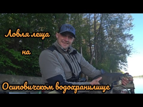 Видео: Попытка номер 2 за лещем. Фидерная рыбалка на Осиповичском водохранилище.