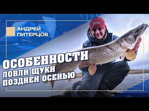 Видео: С какого расстояния щука замечает наши приманки?