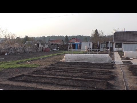 Видео: Почему на моем огороде грядки удобные и урожайные