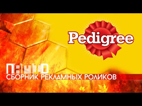 Видео: Сборник рекламных роликов корма для собак "Pedigree"