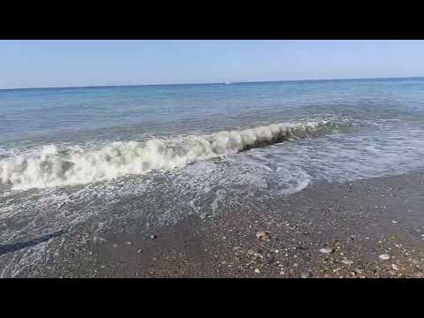 Видео: 4 октября утро