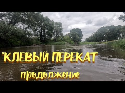 Видео: "Клевый перекат" продолжение