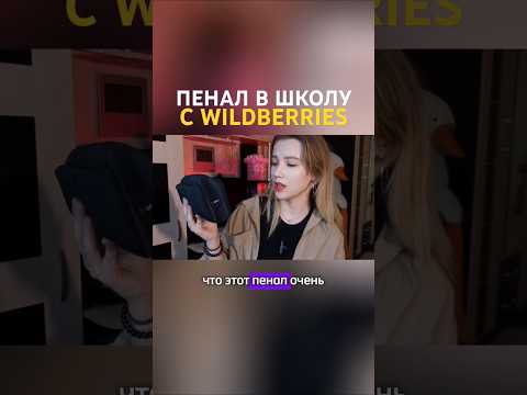 Видео: УДОБНЫЙ и БЮДЖЕТНЫЙ пенал в школу с wildberries #школа #учеба #пенал