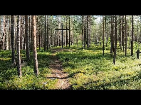 Видео: Немецкое кладбище под Кандалакшей