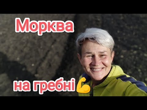 Видео: СІЮ МОРКВУ НА ЗИМУ☝️ВАЖКИЙ ГРУНТ НЕ ПЕРЕШКОДА💯