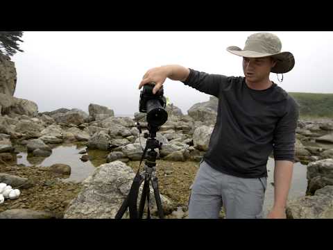Видео: Правильный штатив (головка) для съемки панорам / пейзажей
