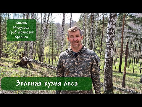 Видео: Для чего мы можем использовать сныть, медуницу, трутовик, крапиву? Зеленая кухня леса