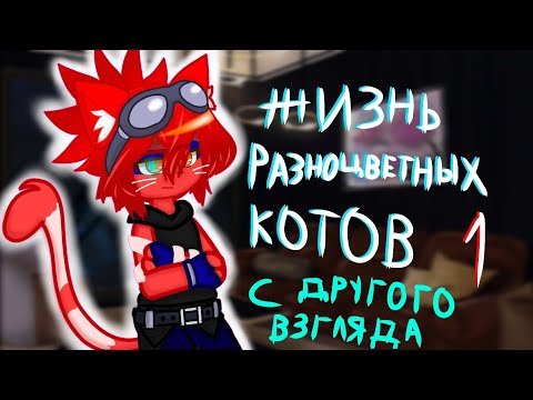 Видео: Жизнь Разноцветных Котов: С другого взгляда 1 (моё АУ)