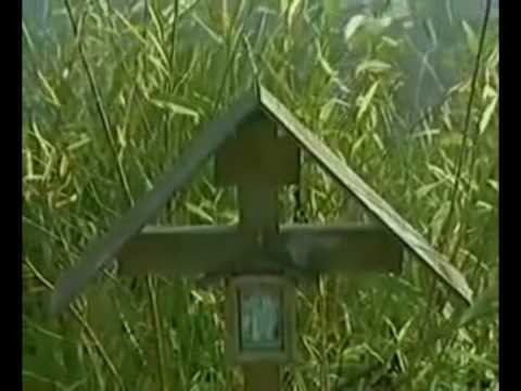 Видео: Афганистан-кукушка