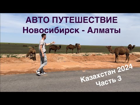 Видео: Авто путешествие Новосибирск - Алматы на Honda Freed. Казахстан 2024, часть 3, дорога день третий