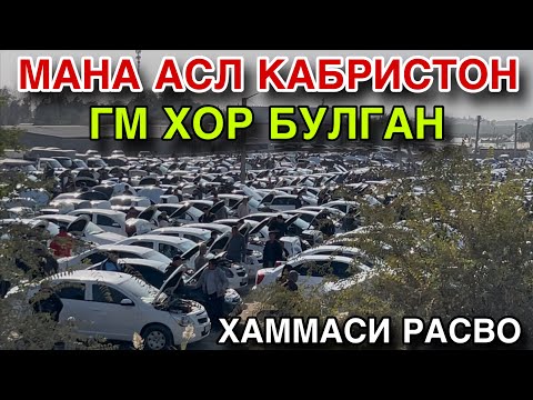 Видео: АХВОЛ ЧАТОК! 10 СЕНТЯБРЬ ДАМАС НАРХЛАРИ 2025.ЧИРОКЧИ МАШИНА БОЗОРИ НАРХЛАРИ 2025.