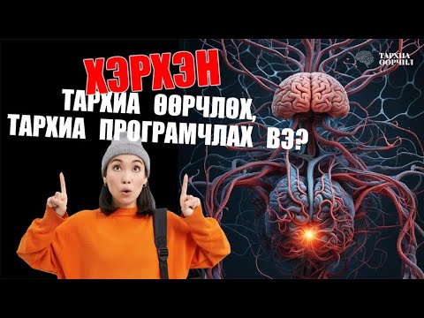Видео: Тархиа өөрчлөх ТАРХИА ПРОГРАМЧЛАХ