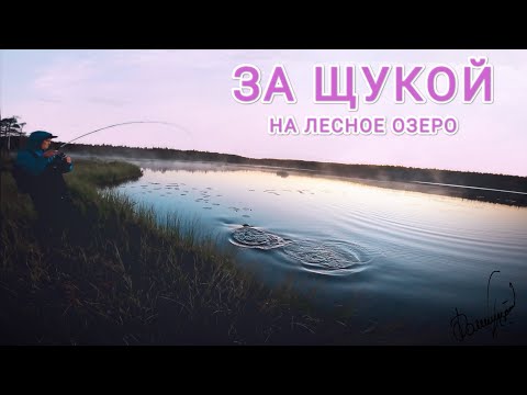 Видео: В ГЛУШЬ ЗА ЩУКОЙ.РЫБАЛКА В КАРЕЛИИ.