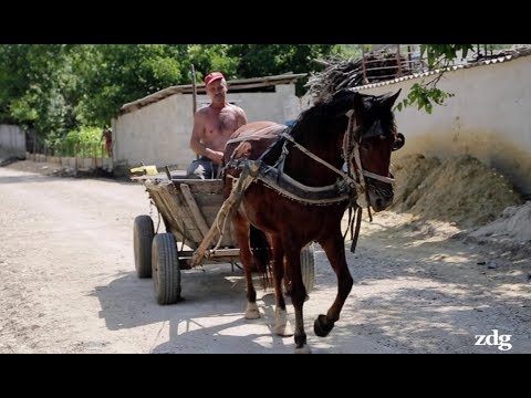 Видео: В родном селе молдавского олигарха