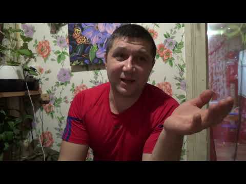 Видео: Как понять что попугаи скоро заболеют.