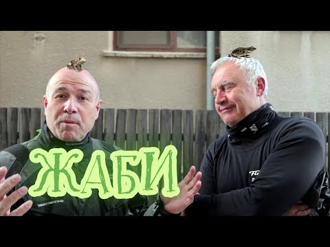 Видео: При жабите от Байкал. (епизод 230)