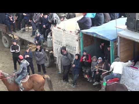 Видео: Берген ауылы Ердос палуаның елден бата алу көкпары