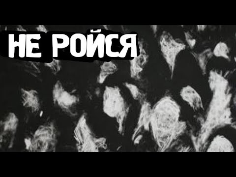 Видео: СИДИ ТИХО!. Страшные. Мистические. Творческие истории. Хоррор