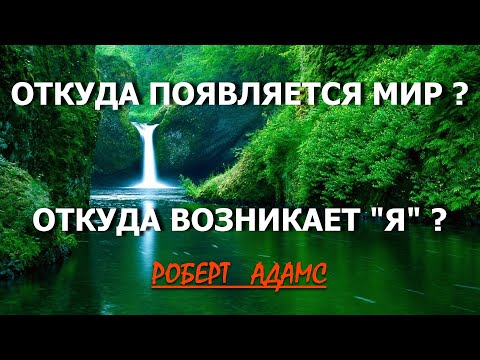 Видео: ЧЕТВЁРТОЕ СОСТОЯНИЕ СОЗНАНИЯ [Роберт Адамс, озв.Никошо]