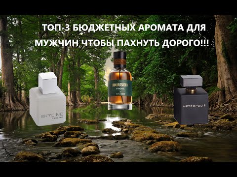 Видео: ТОП-3 БЮДЖЕТНЫХ АРОМАТА ДЛЯ МУЖЧИН ЧТОБЫ ПАХНУТЬ ДОРОГО!!! METROPOLIS, SKYLINE, AMBASSADOR