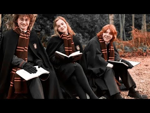 Видео: Короли Ночной Вероны. Harry Potter
