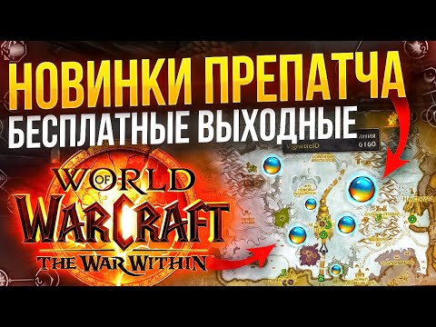 Видео: Что делать в препатче TWW? В wow можно играть бесплатно!