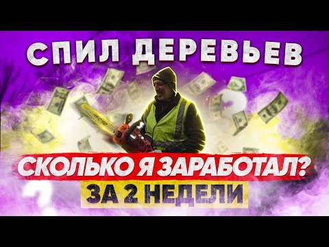 Видео: Сколько Можно Заработать на  Валке Деревьев | Удаление деревьев | #05