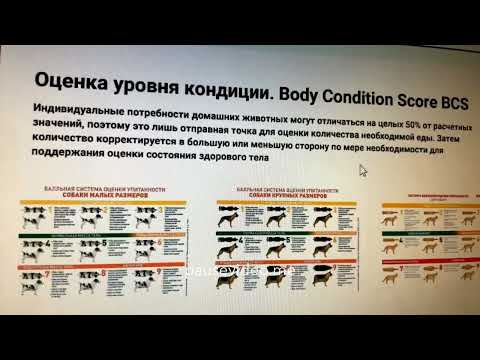 Видео: Нормы корма на пачке-соблюдать строго?