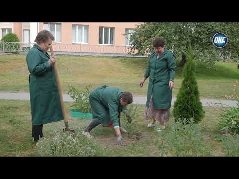 Видео: Аптекарский огород