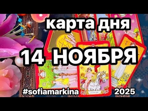 Видео: 🍓 САМЫЕ ВАЖНЫЕ СОБЫТИЯ ДНЯ‼️💯 #sofiamarkina #таро #картадня #всезнакизодиака #ноябрь #tarot #гадание