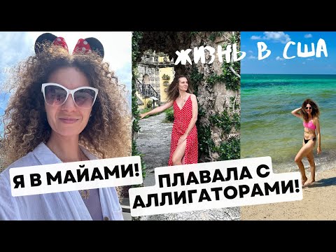 Видео: Диснейленд / Майами / Аллигаторы / Жизнь в США