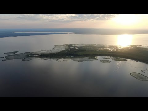 Видео: Остров Спасский на озере Воже, Вологодская область. Съёмка с квадрокоптера