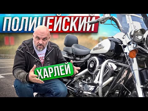 Видео: Полицейский ROAD KING на EVOLUTION. Harley Davidson на службе закона  #МОТОЗОНА №160