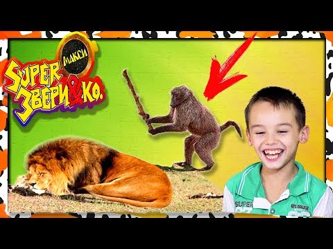 Видео: SUPER звери НАЙДИ ЖИВОТНЫХ челлендж