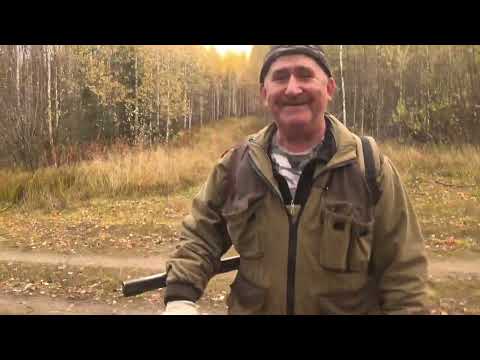 Видео: Три зайца за день! Валдай в деле и охота с отцом — отличный выезд