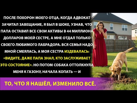 Видео: Моя сестра забрала 44 миллиона долларов, а я получил папиного лабрадора, а потом он потащил меня в