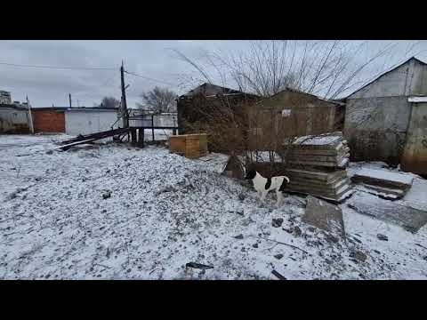 Видео: Рудный, зима,гололёд 