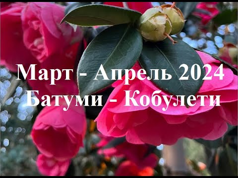 Видео: Март Апрель 2024 Батуми Кобулети Аджария Грузия