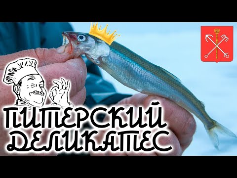 Видео: Зимняя рыбалка на корюшку. Рыбалка на Финском заливе. Питерский деликатес. Ловля корюшки.